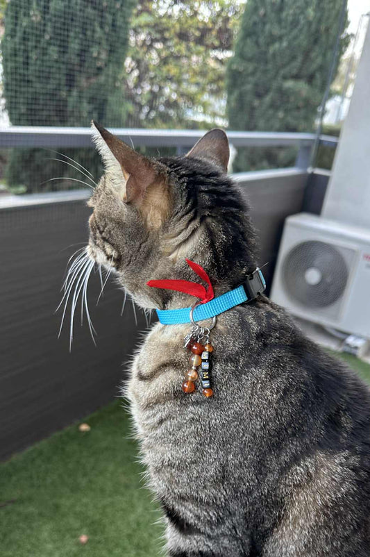 Bijou pour chat ou chien, en cornaline naturelle, à personnaliser avec prénom et couleur — Zoéline