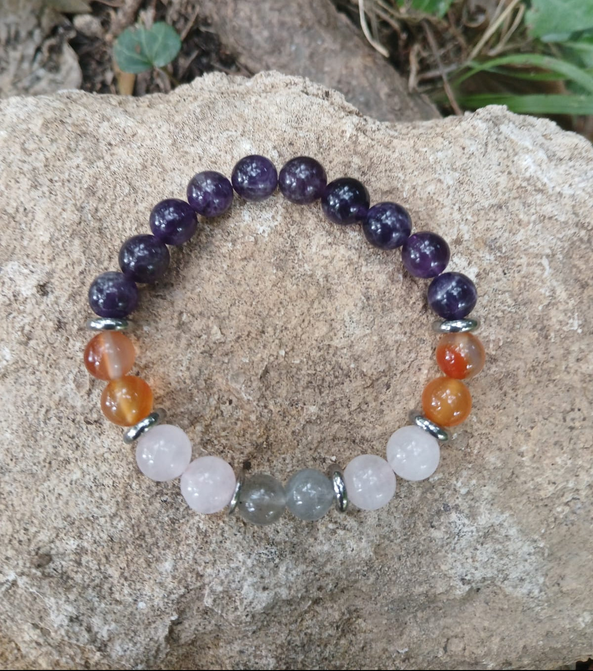 Éphémère Althéa Pourpre